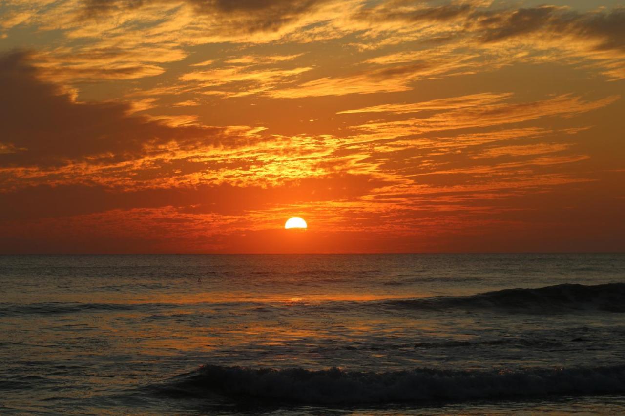 El Gato Rojas Surf Hostel Playa Santa Teresa  Екстериор снимка