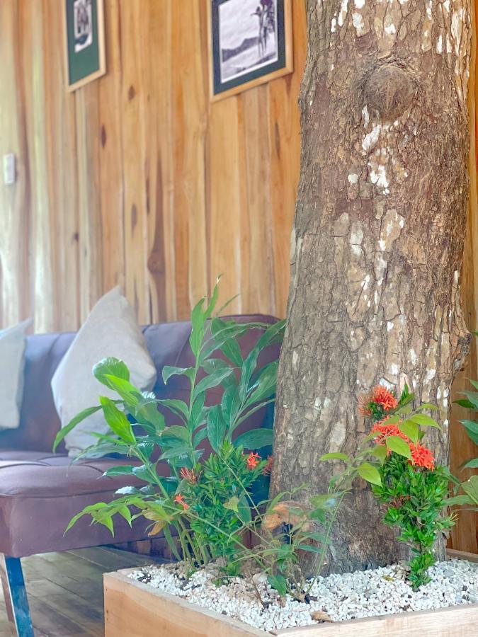 El Gato Rojas Surf Hostel Playa Santa Teresa  Екстериор снимка