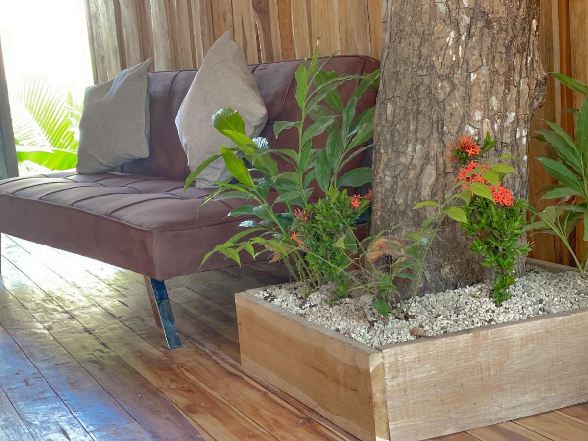 El Gato Rojas Surf Hostel Playa Santa Teresa  Екстериор снимка