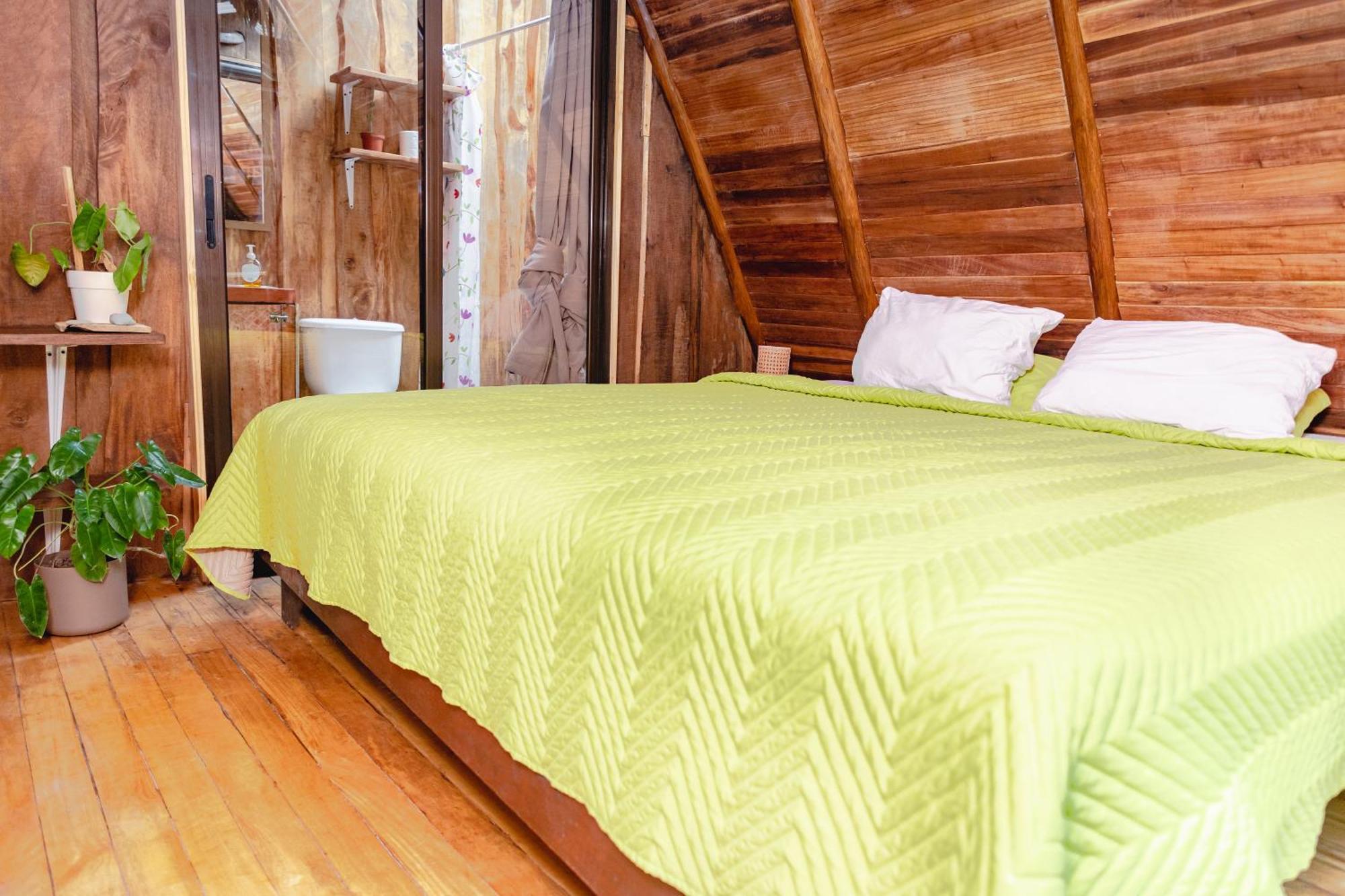 El Gato Rojas Surf Hostel Playa Santa Teresa  Екстериор снимка